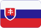 Constitución de las compañías en la República Checa Slovensky